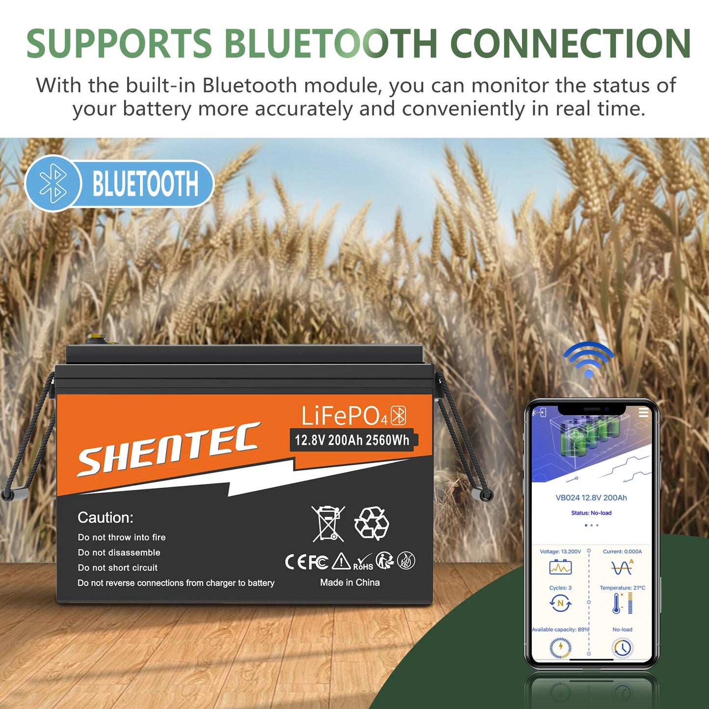 SHENTEC 12V 200Ah Batteria LiFePO4 al Litio per Barca e Camper 6000+ Cicli