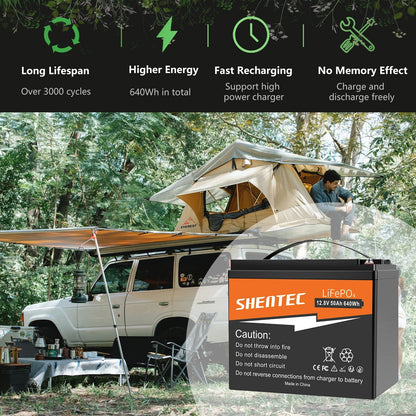SHENTEC 12.8V 50Ah Batteria LiFePO4 Al Litio Per Pannelli Solari, Camper, Barca, Caravan, Campeggio