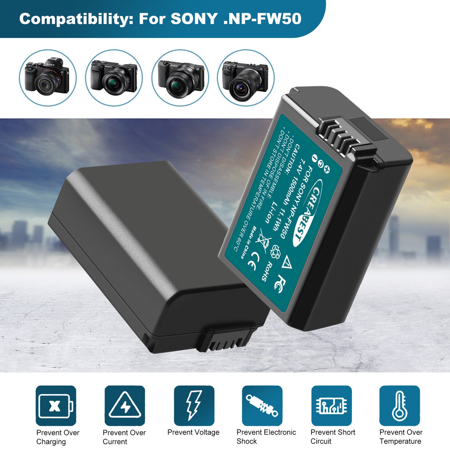 2X NP-FW50 Batteria &Caricabatterie Rapido Per Sony A6500 A6000 A7R A7RII A7S A7II RX10