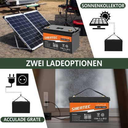 SHENTEC Batteria LiFePO4 12/24V 100/150/200/300Ah con BMS per impianti solari, barche, veicoli off-grid e RV