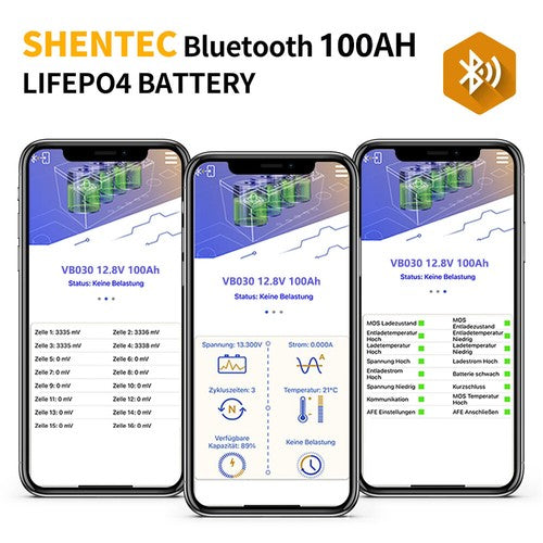 SHENTEC Batteria LiFePO4 12/24V 100/150/200/300Ah con BMS per impianti solari, barche, veicoli off-grid e RV