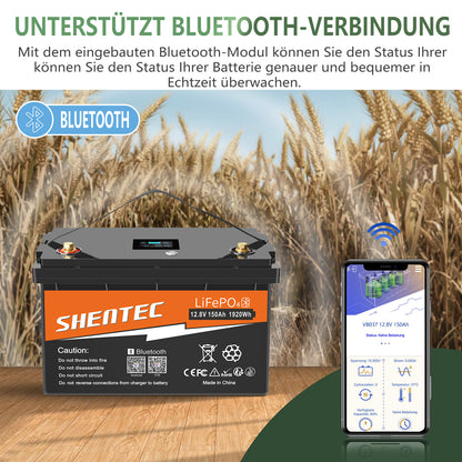 SHENTEC Batteria LiFePO4 12/24V 100/150/200/300Ah con BMS per impianti solari, barche, veicoli off-grid e RV