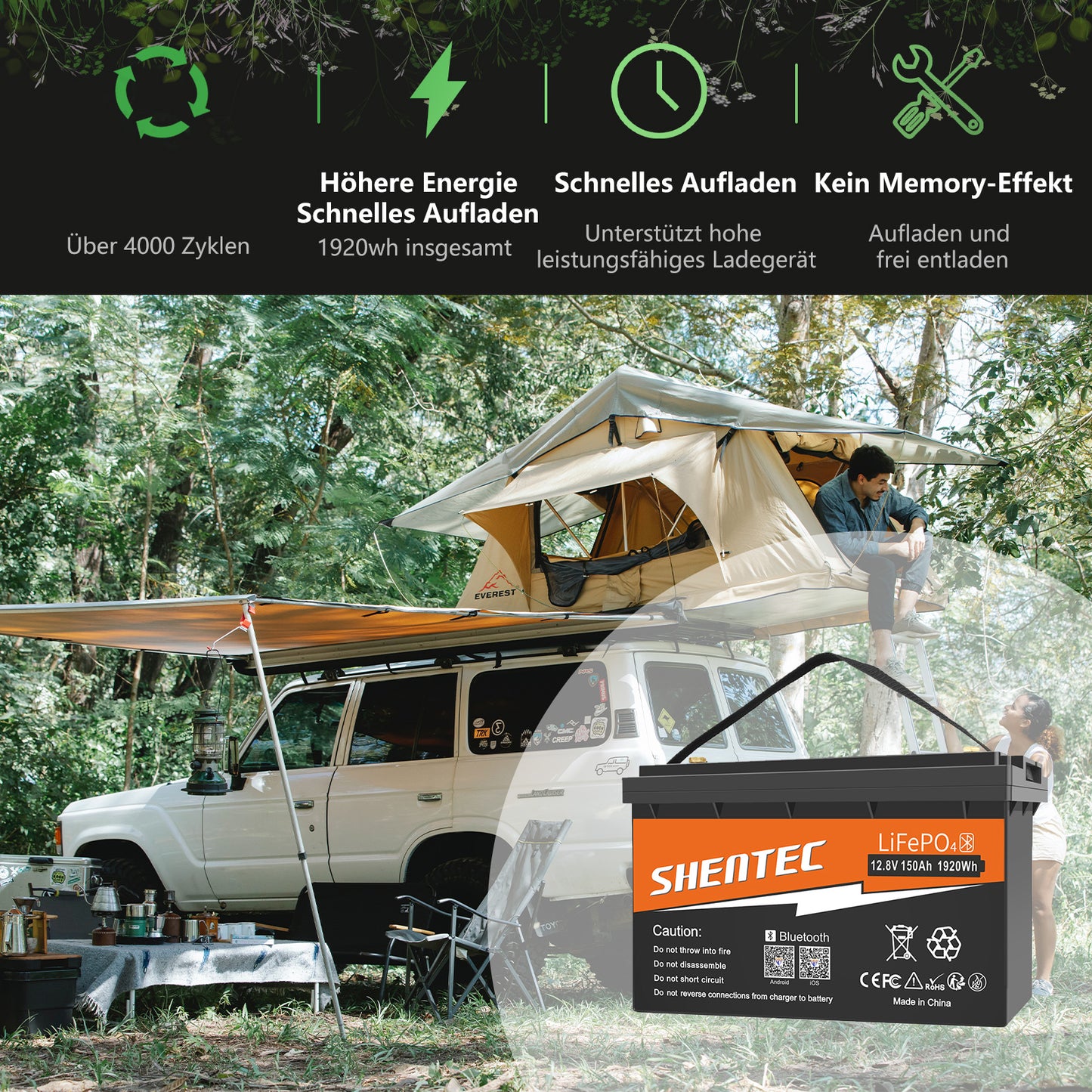 SHENTEC Batteria LiFePO4 12/24V 100/150/200/300Ah con BMS per impianti solari, barche, veicoli off-grid e RV